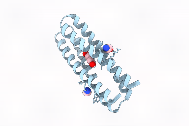 9R1L image