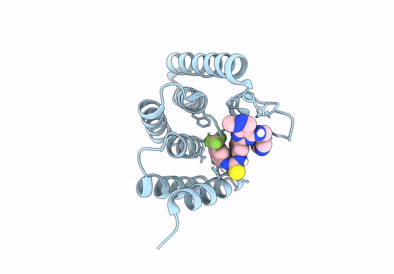 9R1P image