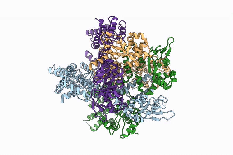 9R1V image