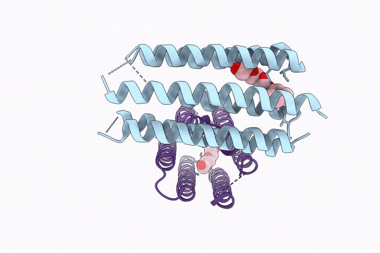 9R2B image