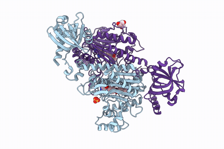 9R2C image