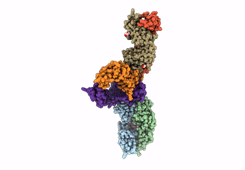 9R2E image