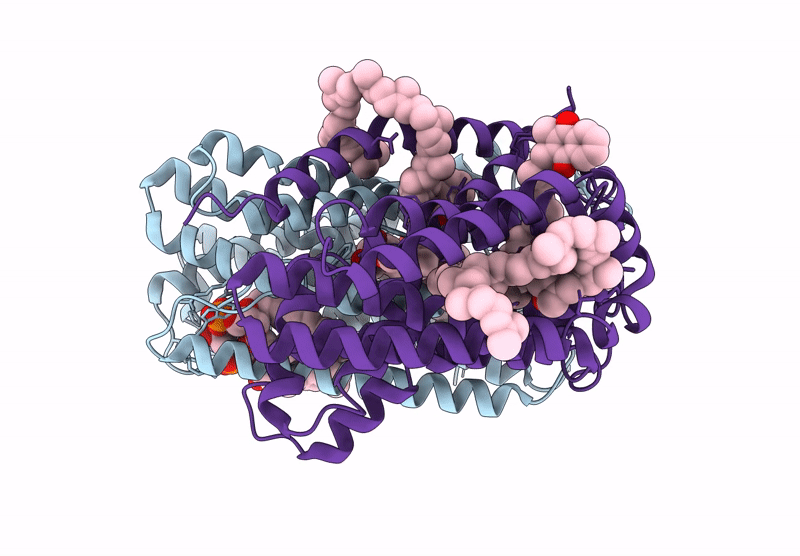 9R2G image