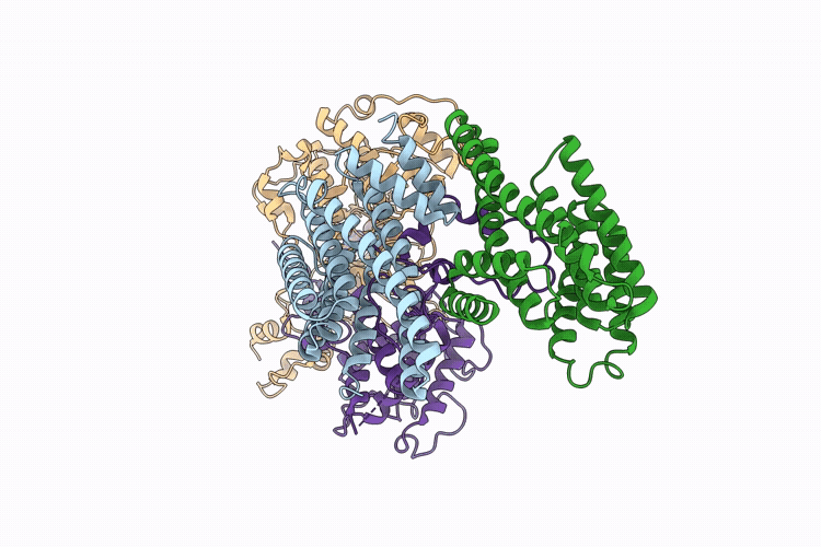9R2I image
