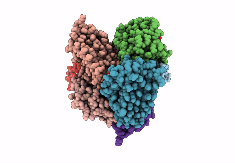 9R2V image