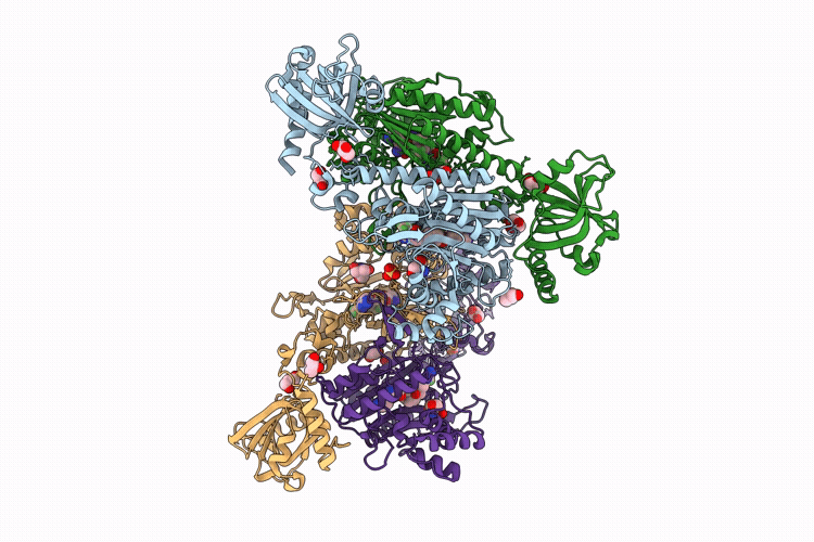 9R32 image