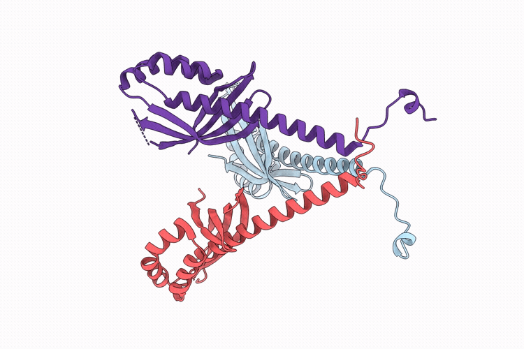 9R33 image