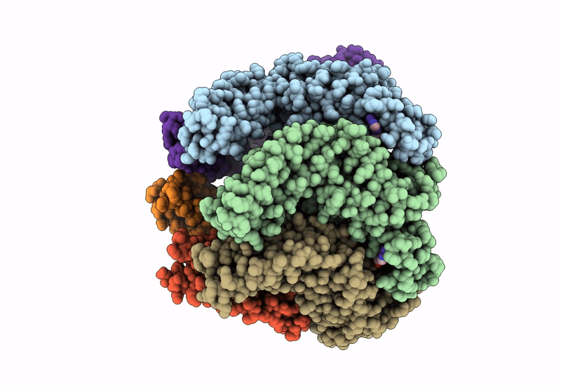 9R34 image