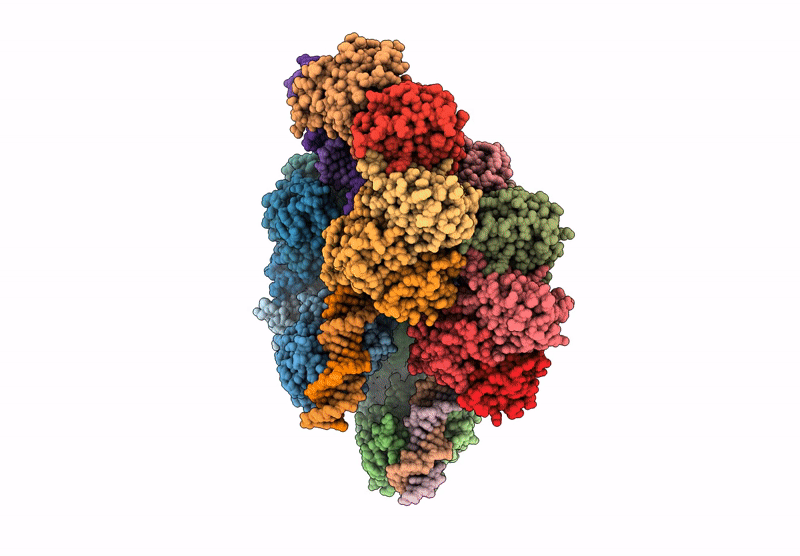9R35 image