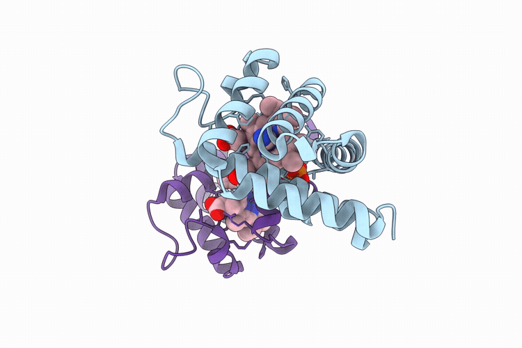 9R3P image