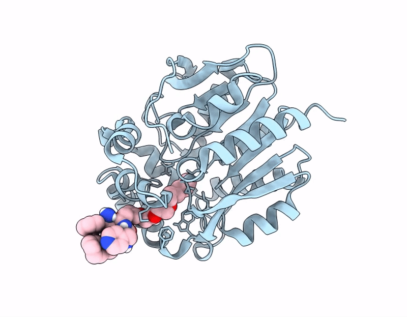 9R40 image