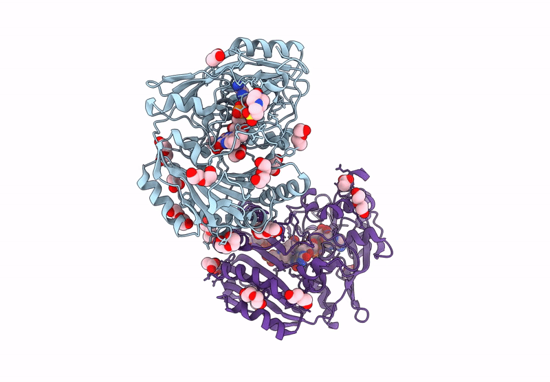 9R43 image