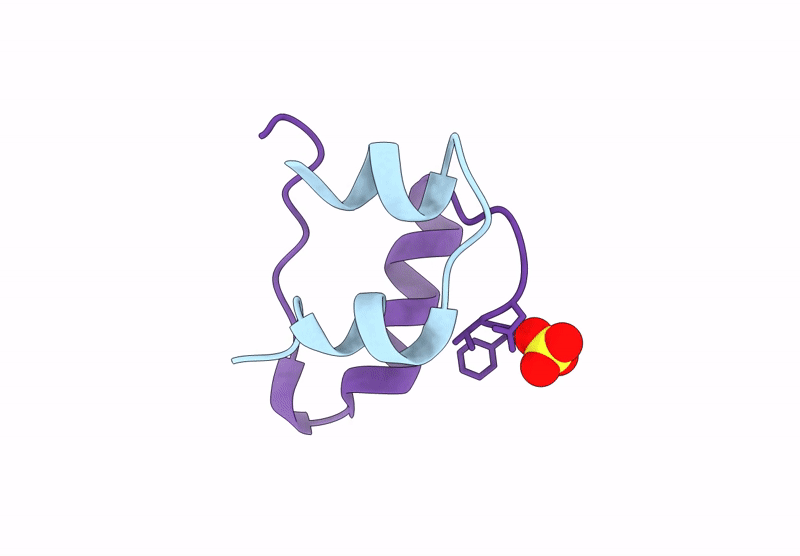 9R4B image