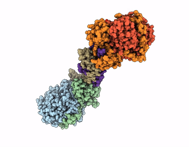 9R4I image