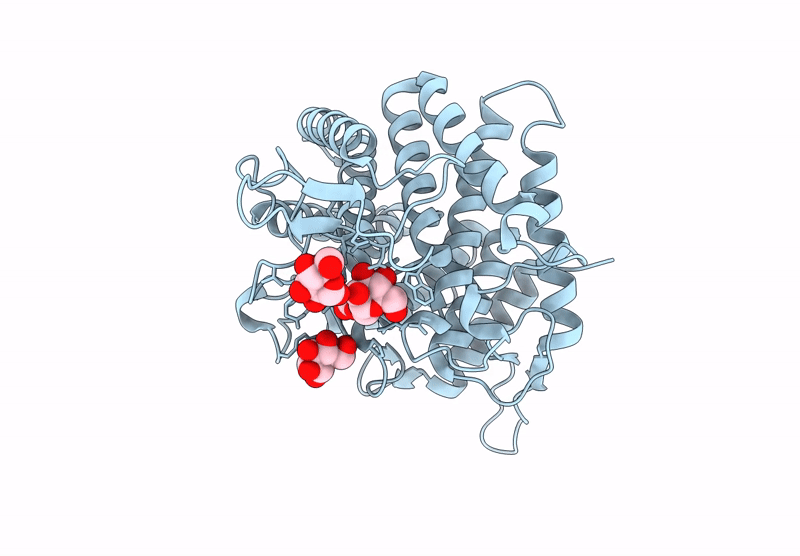 9R4P image