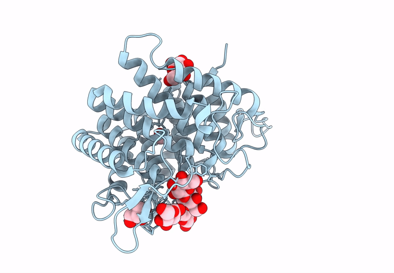 9R4S image