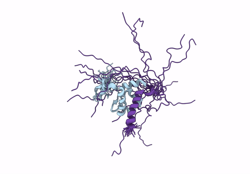 9R4V image