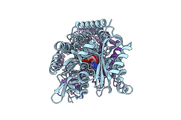 9R4Y image