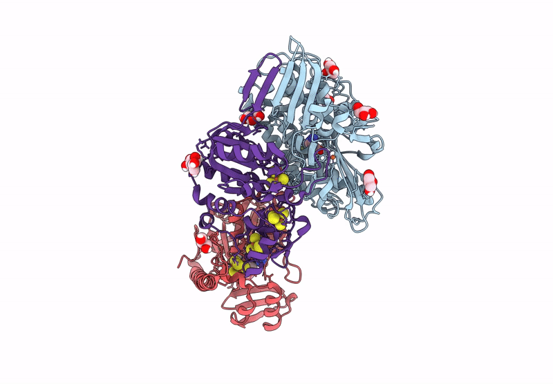9R52 image
