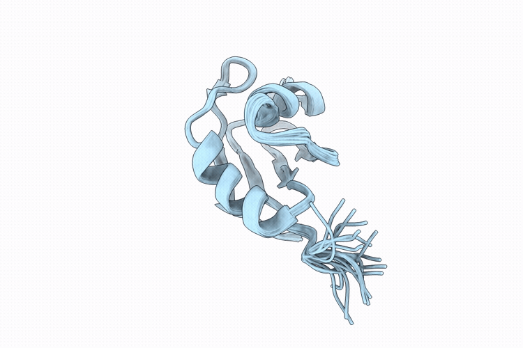 9R53 image