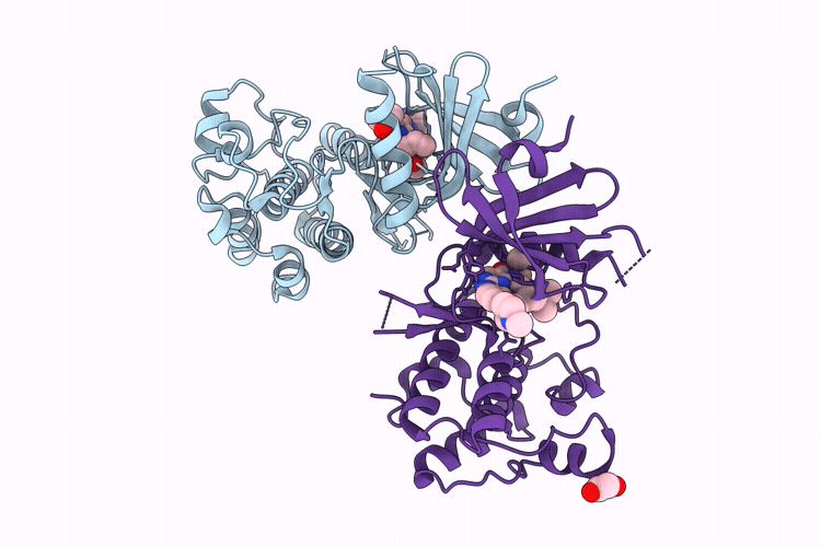 9R55 image