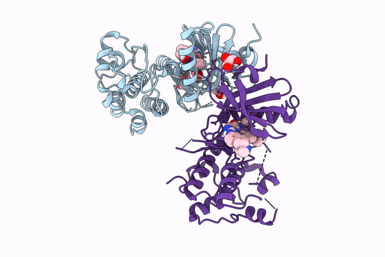 9R56 image