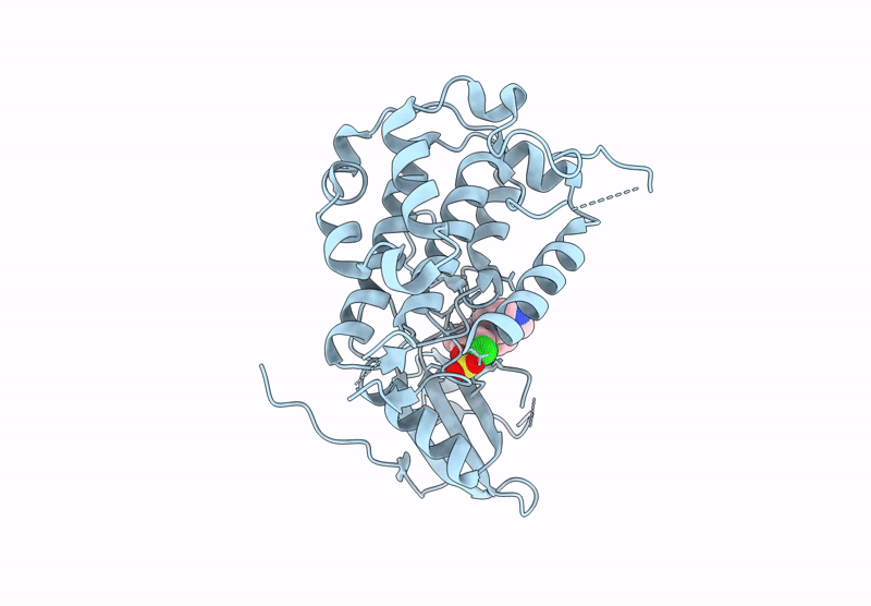 9R59 image