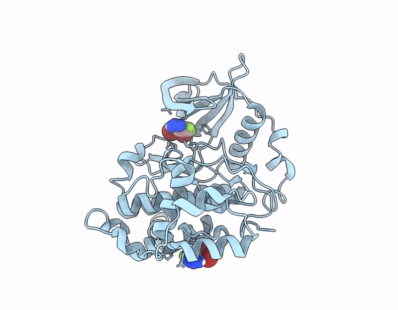 9R5B image