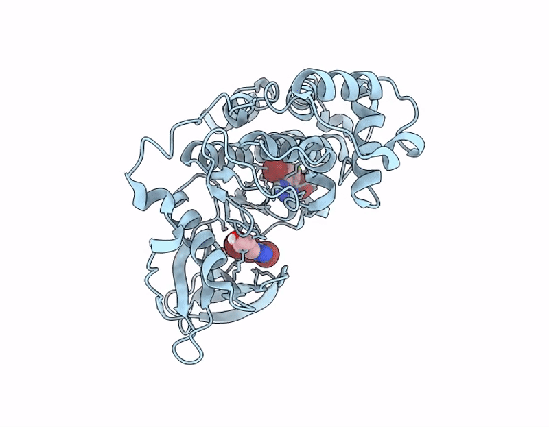 9R5C image