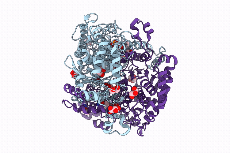9R5H image