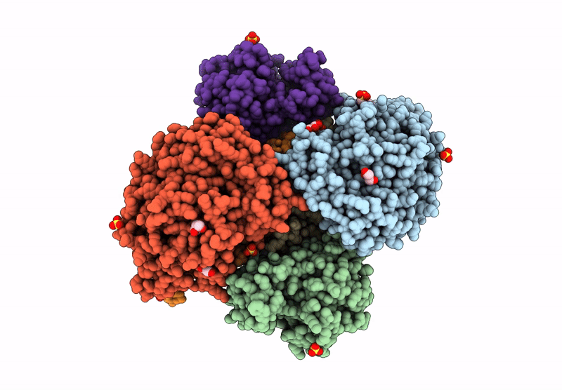 9R5I image