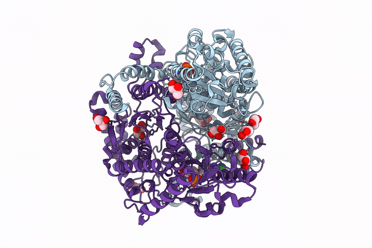 9R5J image