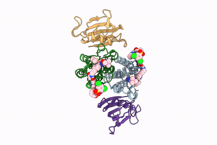 9R5N image