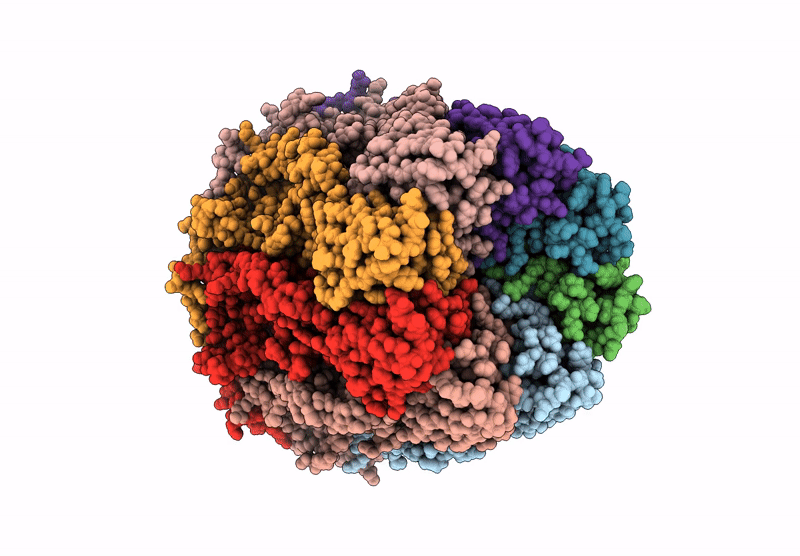 9R60 image