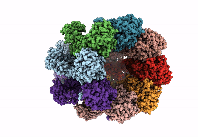 9R62 image