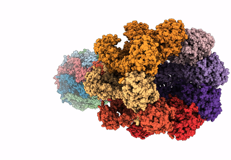 9R64 image