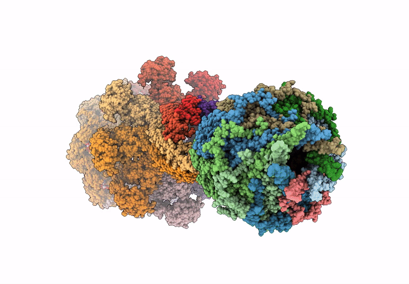 9R6B image