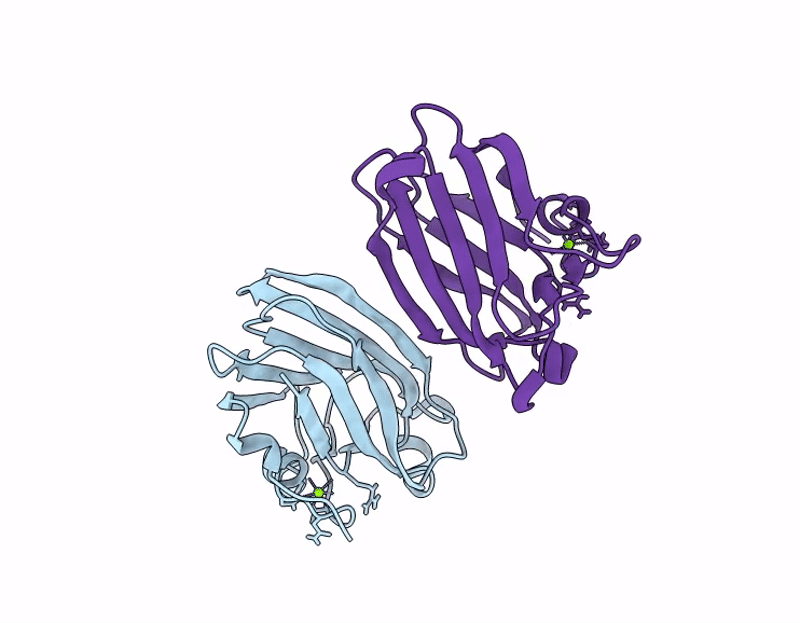 9R6V image