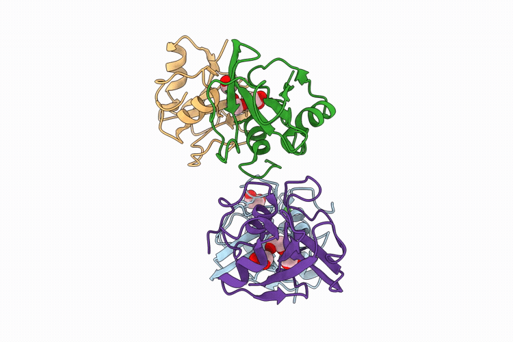 9R6W image