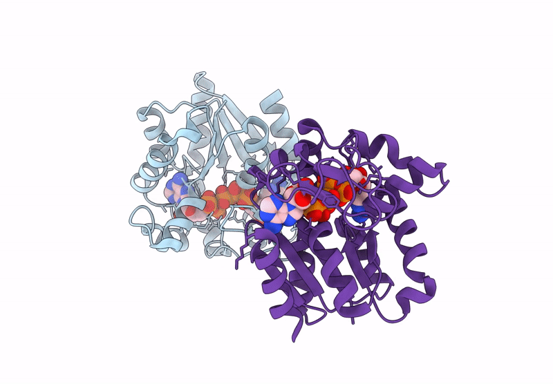 9R71 image