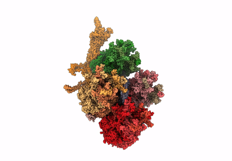 9R78 image