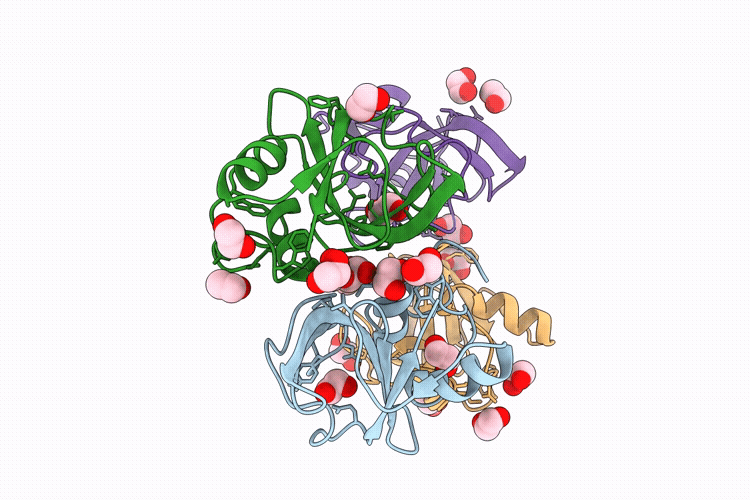 9R7G image