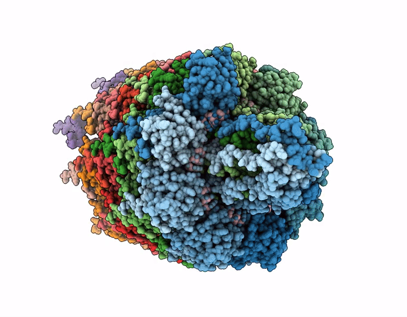 9R7V image