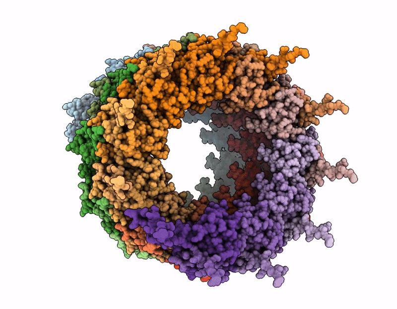 9R7Z image