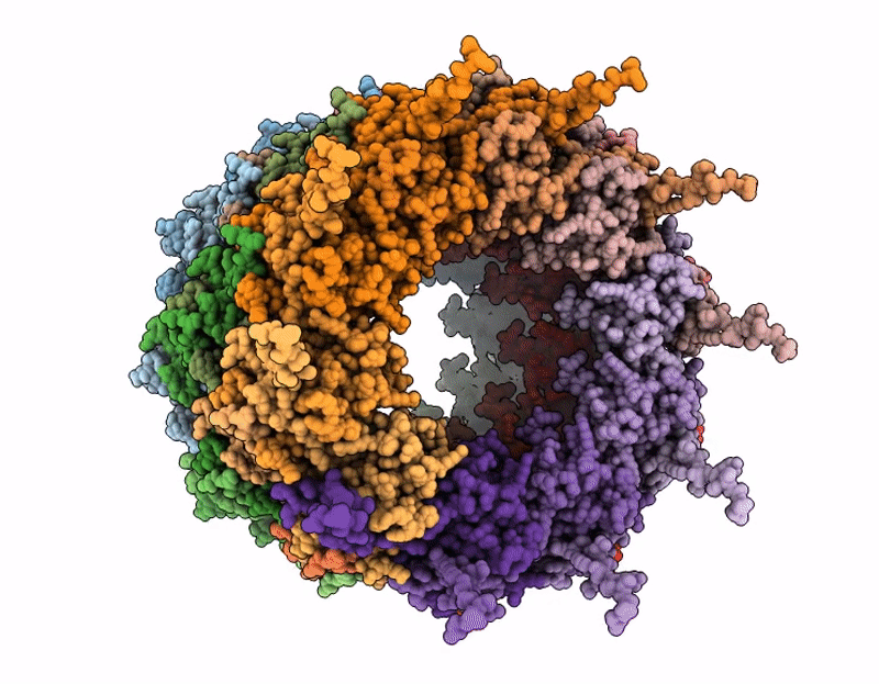 9R80 image