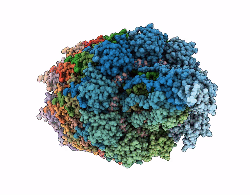 9R81 image