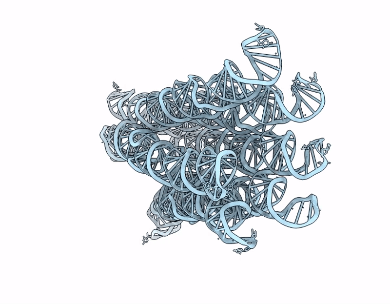 9R82 image