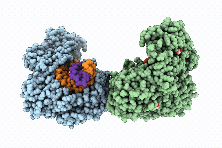 9R83 image
