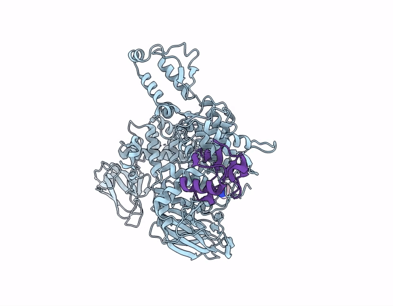 9R85 image