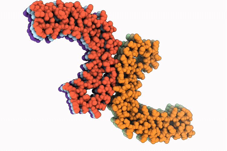 9R89 image